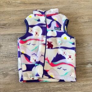 Patagonia Synchilla Vest